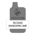 Mandarin Lime Elf Bar 5000