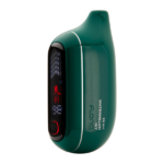 Watermelon Icy FLONQ Max Pro