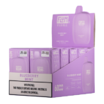 Blueberry Mint FLUM Pebble - Image 2