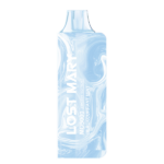 Blackcurrant Mint Lost Mary MO5000