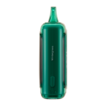 Wintergreen RAZ LTX 25000 - Image 2