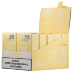 Strawberry Coconut FLUM Pebble - Image 2